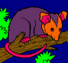 Dibujo Ardilla possum pintado por critina