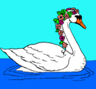 Dibujo Cisne con flores pintado por hggtg
