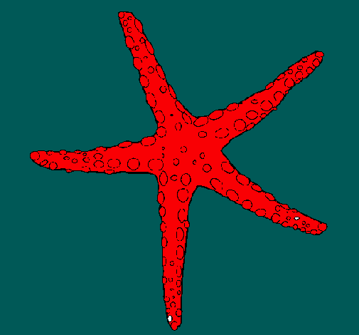 Estrellita de mar