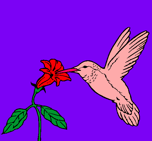 Dibujo Colibrí y una flor pintado por garc