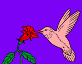 Dibujo Colibrí y una flor pintado por garc