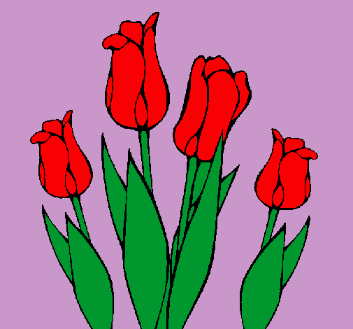 Tulipanes