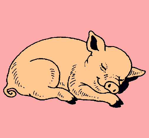 Cerdo durmiendo