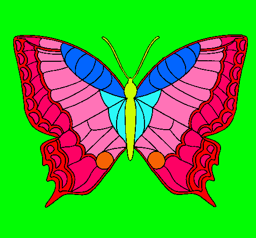 Mariposa