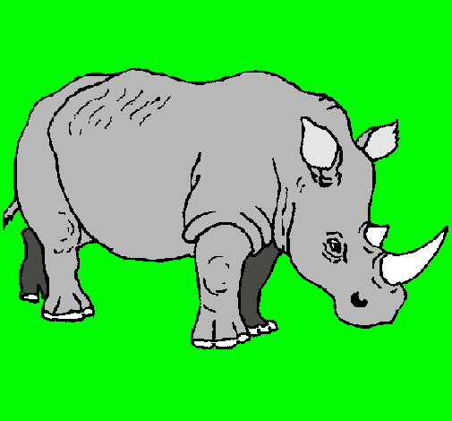Dibujo Rinoceronte pintado por osvaldo