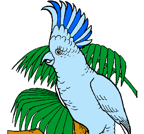 Cacatúa