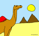Dibujo Camello pintado por noah