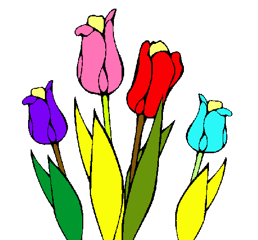 Tulipanes