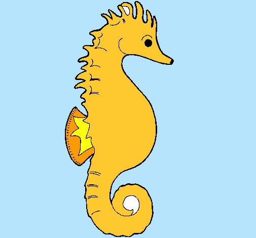 Caballito de mar