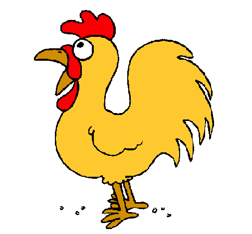 Gallo de granja