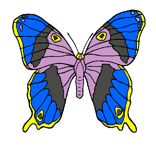 Mariposa