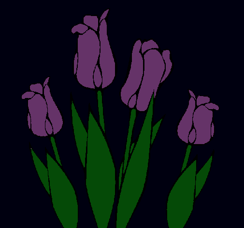 Tulipanes