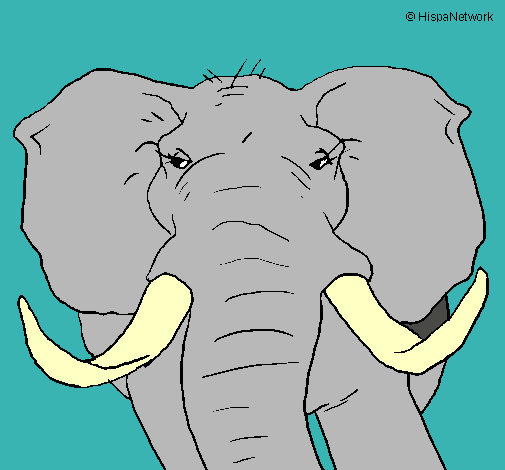 Dibujo Elefante africano pintado por osvaldo