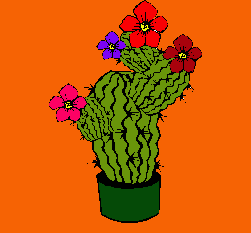 Flores de cactus