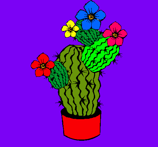 Flores de cactus