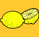 Dibujo limón pintado por marydee