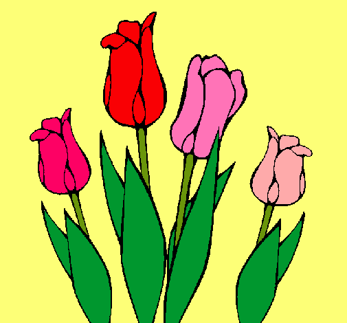 Tulipanes