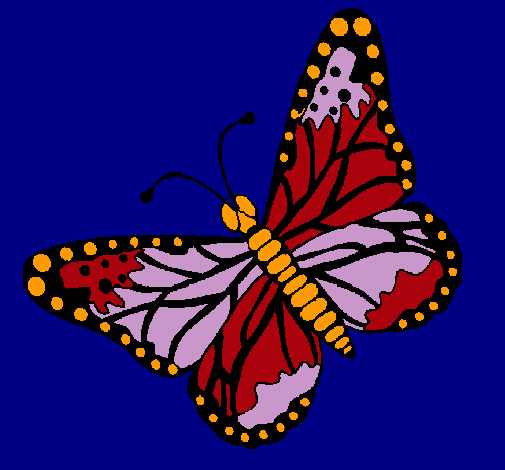Mariposa 4