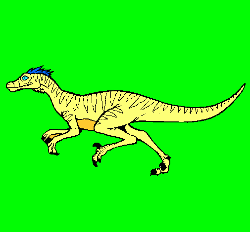 Velociraptor