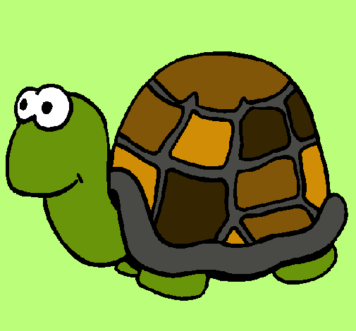 Tortuga