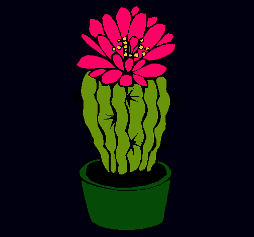 Cactus con flor