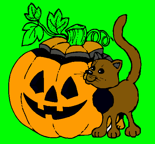 Calabaza y gato