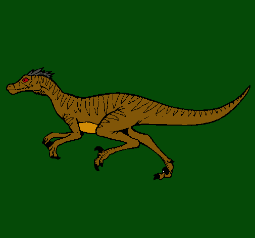 Velociraptor