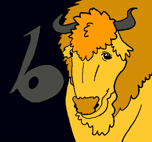 Bisonte