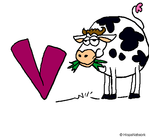 Vaca