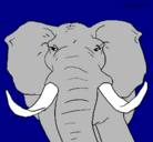 Dibujo Elefante africano pintado por matrix