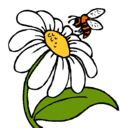 Dibujo Margarita con abeja pintado por yoselyn