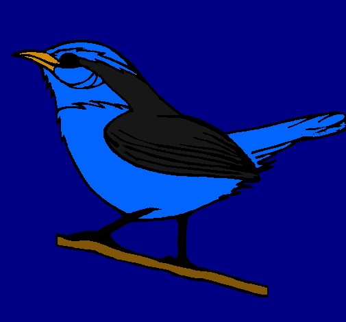 Dibujo Pájaro silvestre pintado por eduard