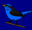 Dibujo Pájaro silvestre pintado por eduard