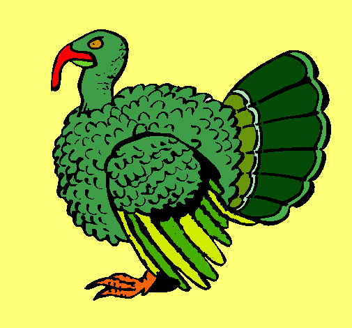 Pavo 