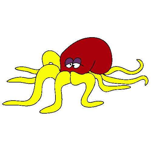 Pulpo