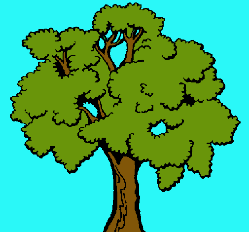 Árbol