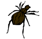 Dibujo Araña viuda negra pintado por felumeoni