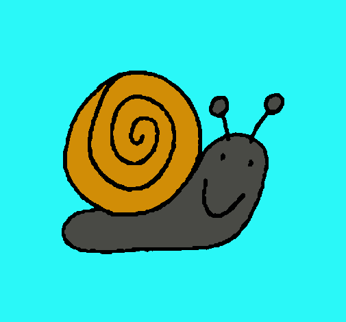 Caracol 4