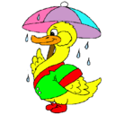 Dibujo Pato bajo la lluvia pintado por llubia