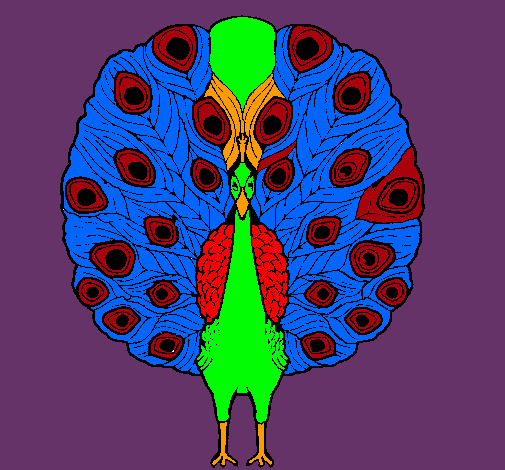 Pavo real