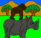 Dibujo Rinoceronte y mono pintado por misael