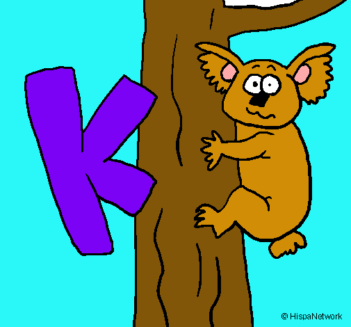 Koala