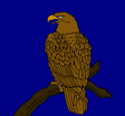 Dibujo Águila en una rama pintado por eduard