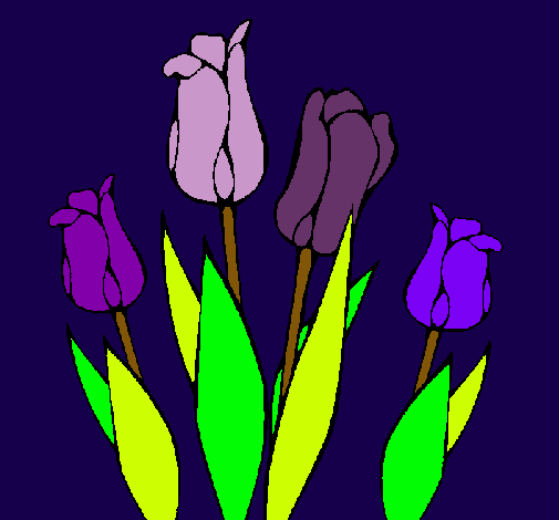 Tulipanes