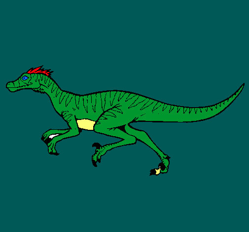 Velociraptor