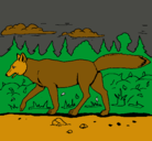 Dibujo Coyote pintado por alraed 
