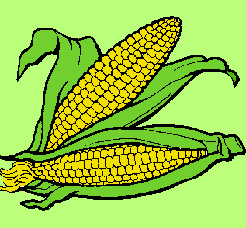 Dibujo Mazorca de maíz pintado por jhustin 