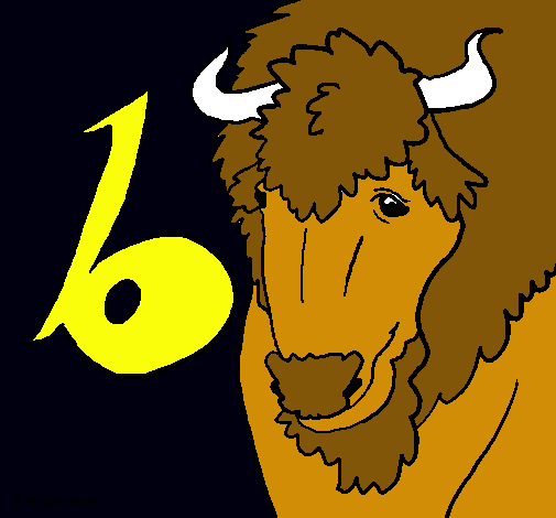 Bisonte