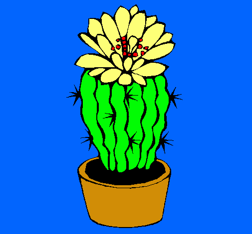 Cactus con flor