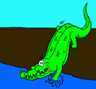 Dibujo Aligátor entrando al agua pintado por trevor